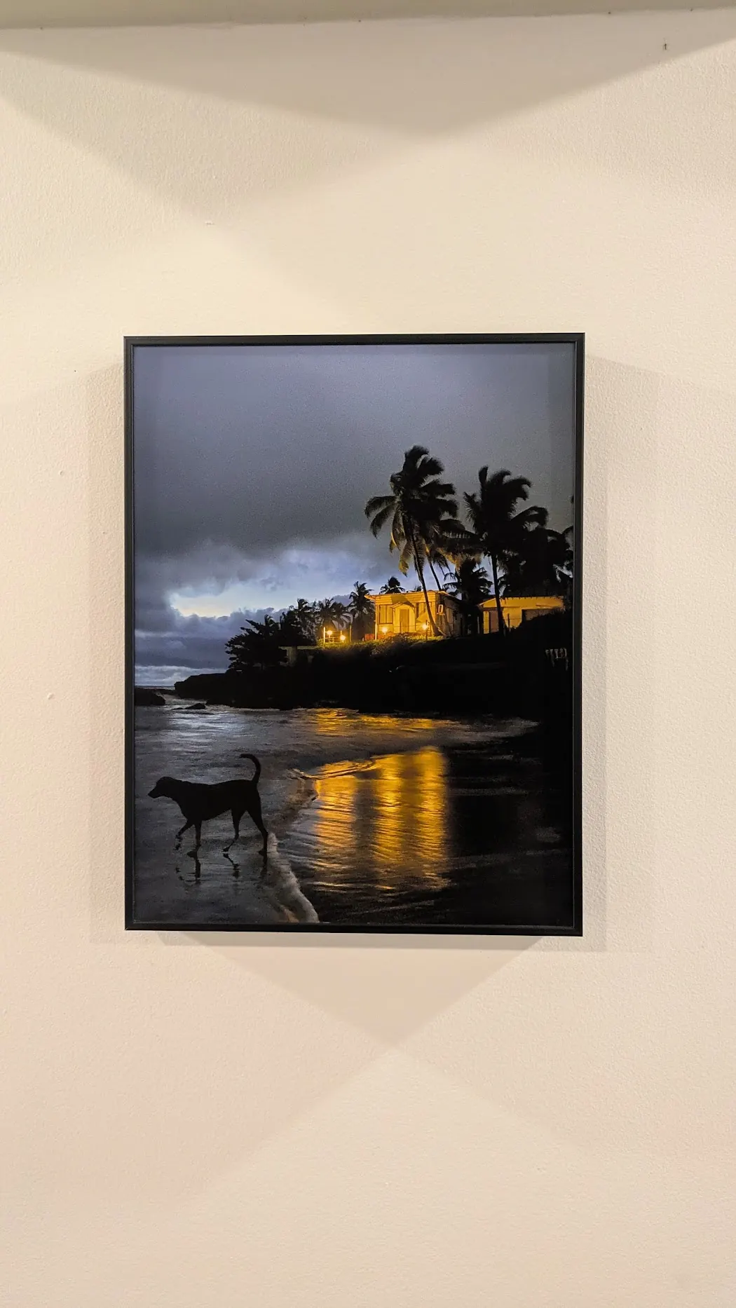 Framed photo of a dog on a beach at dusk, with lit houses and palm trees behind